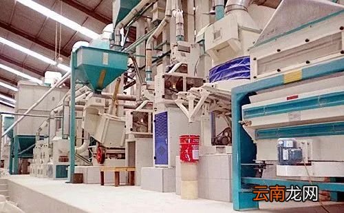 大米好不好吃是什么决定的 这4点影响味道
