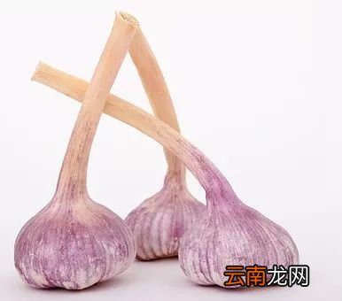 生吃大蒜的作用 大蒜最佳功效吃法