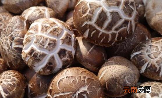 10种能够提高免疫力的简便方法 10种食物助力提升免疫力