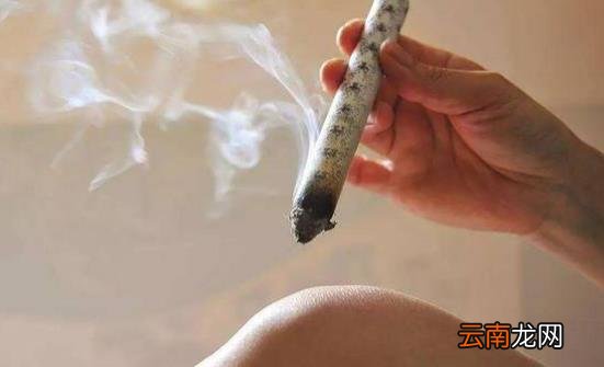 杜仲花生煲鸡脚汤补阳气 推荐生活中可以升养阳气的方法