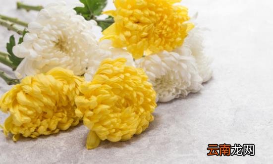 清明时节如何养生 别伤心过度保护身体健康