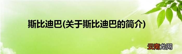 关于斯比迪巴的简介 斯比迪巴