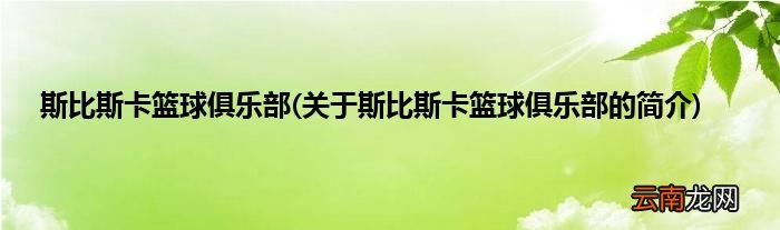 关于斯比斯卡篮球俱乐部的简介 斯比斯卡篮球俱乐部