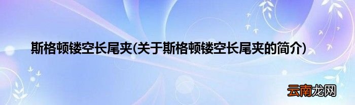 关于斯格顿镂空长尾夹的简介 斯格顿镂空长尾夹