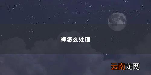 家里有什么办法可以消灭蜜蜂蚂蚁 蜂怎么处理
