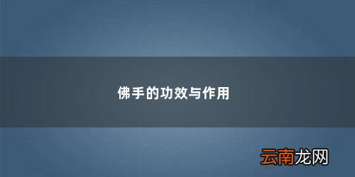 佛手的作用和功效是什么 佛手的功效与作用