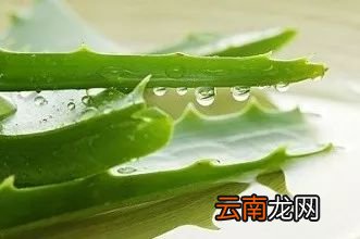 口腔溃疡缓解小妙招 口腔溃疡怎么缓解