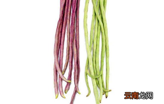 豇豆不熟会中毒吗 吃没熟的豇豆容易中毒