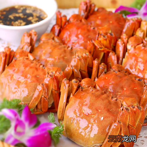 红楼梦美食大盘点