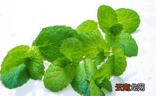 夏季这些消暑方法会伤身 九种有效的解暑方法