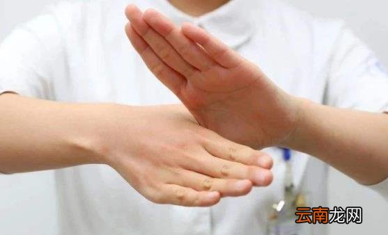 加强锻炼四梢 疏通血脉养生保健还能延年益寿