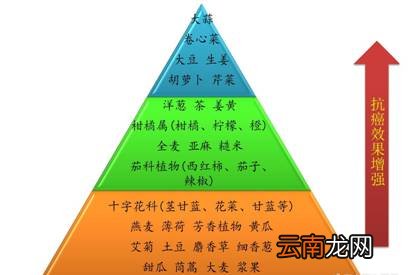 防癌抗癌食物有哪些 防癌多吃这些蔬菜好