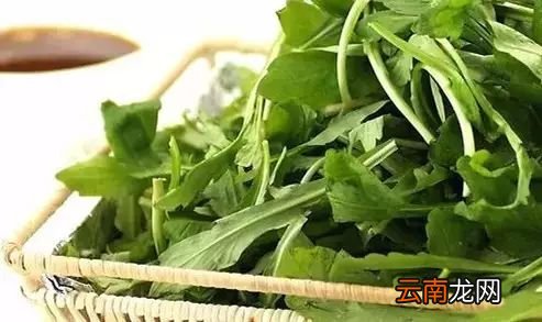 野菜的吃法及功效 10种应季野菜及药效