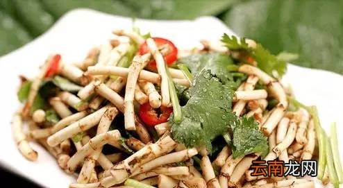 野菜的吃法及功效 10种应季野菜及药效