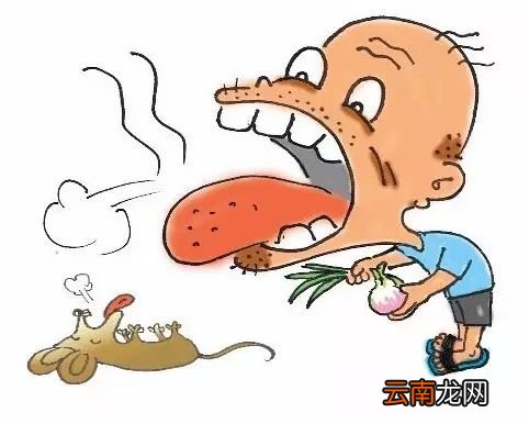 去除口臭的最佳方法 口臭严重怎么清除