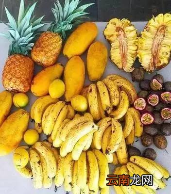 香蕉皮的妙用 香蕉皮竟有这么多用处