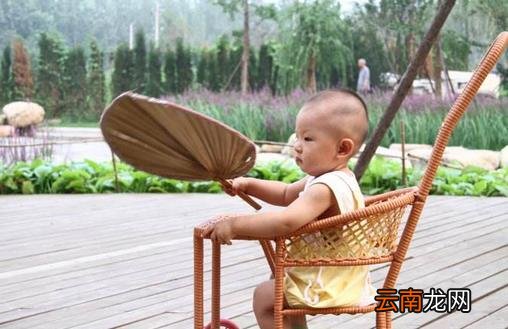 夏季摇蒲扇的罕见作用
