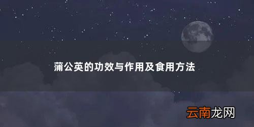 蒲公英的作用和吃法有哪些 蒲公英的功效与作用及食用方法