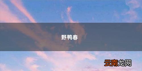 树树菜是什么样子 野鸭春