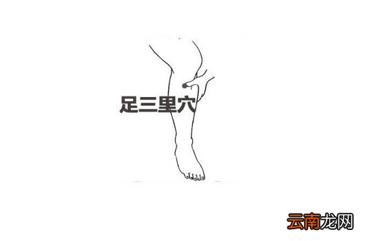 拔罐祛湿位置图 夏天是拔罐去湿气的最好季节