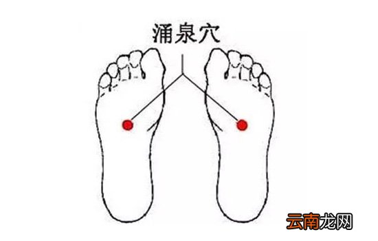 拔罐祛湿位置图 夏天是拔罐去湿气的最好季节