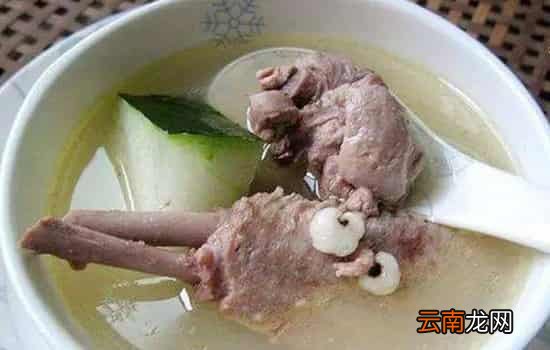薏米冬瓜老鸭汤的功效 夏季饮此汤祛湿又消暑