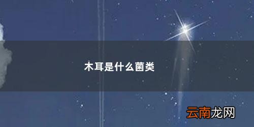 木耳是什么菌类