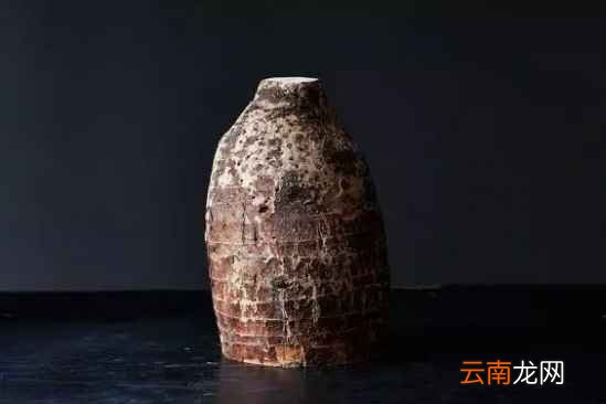 吃不完的蔬菜有什么用处 7天可变成漂亮盆栽