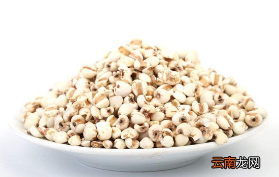 薏米可以用豆浆机打吗 薏米怎么用豆浆机打米糊