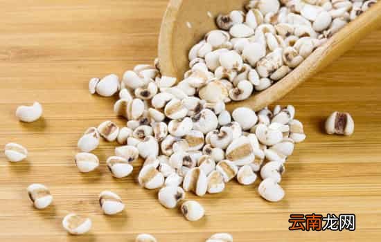 薏米可以用豆浆机打吗 薏米怎么用豆浆机打米糊
