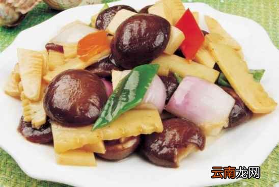 春笋菜谱做法大全 春笋这样做好吃停不下