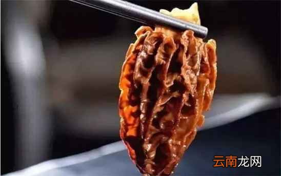 羊肚菌的营养价值 吃羊肚菌有什么好吃
