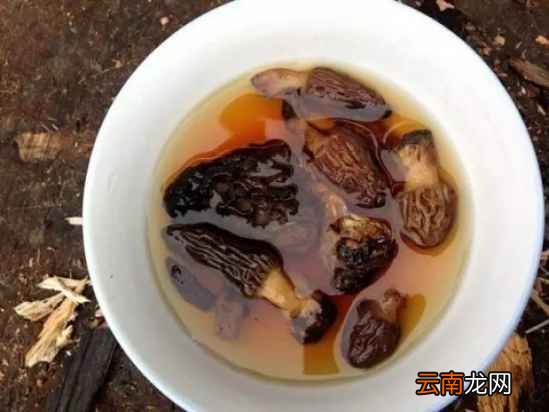 羊肚菌的营养价值 吃羊肚菌有什么好吃