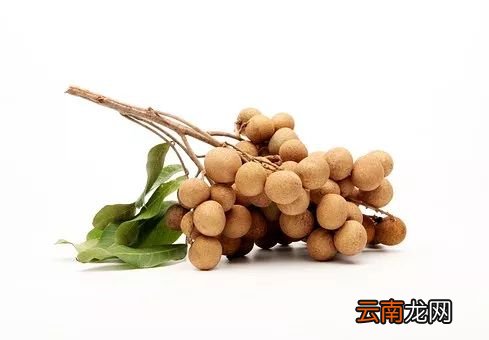 吃桂圆的好处 吃它有效治疗长期失眠