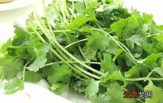 蔬菜的保质期 常吃蔬菜能保存多久