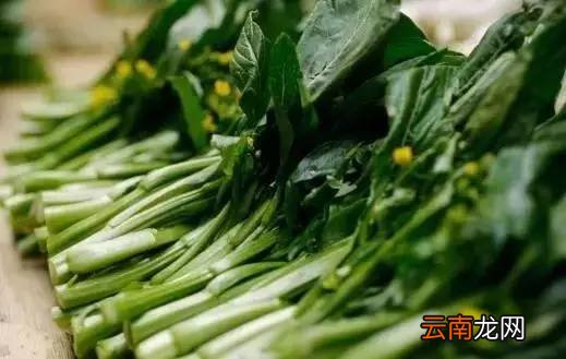 蔬菜的保质期 常吃蔬菜能保存多久