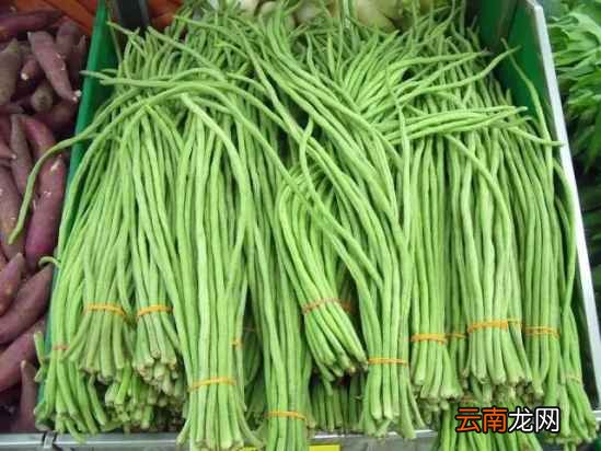 蔬菜的保质期 常吃蔬菜能保存多久