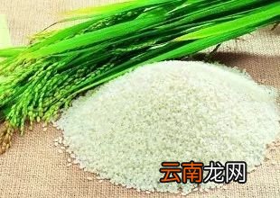 大米应该怎么挑 看了你就明白了