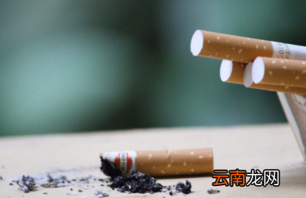 抽完的烟头泡水可以浇花吗-烟头泡水怎么浇花