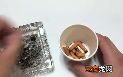 抽完的烟头泡水可以浇花吗-烟头泡水怎么浇花