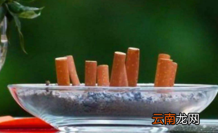 抽完的烟头泡水可以浇花吗-烟头泡水怎么浇花