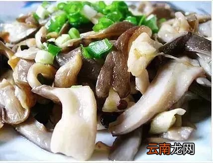 素菜菜谱大全家常菜 多道素菜食谱做法步骤