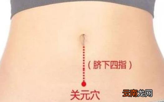 人体与生带有自强的按钮 推拿按摩4大穴位强身健体