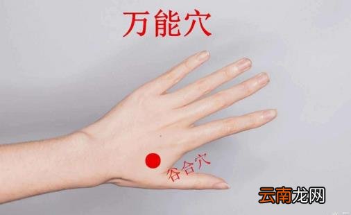 人体与生带有自强的按钮 推拿按摩4大穴位强身健体
