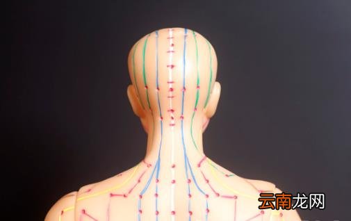 经络联系脏腑起重要作用 经络拍打养生解决身体问题