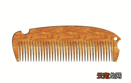 梳子不只是用来梳头用的 用来梳身体提高抗病的能力