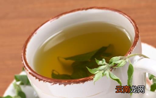 无毒一身轻 喝水也是排毒的好方法