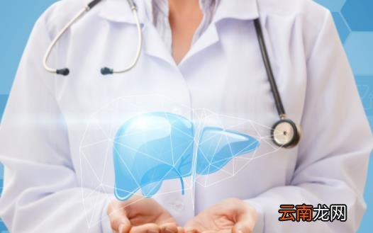 调理肝脏护肝养肝 食疗是一种好的保健方式