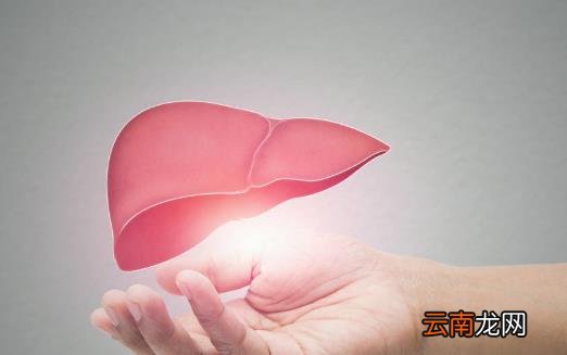 养肝小锦囊适合日常调理 养肝护肝6道食疗粥