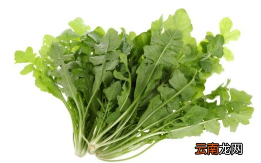 养肝小锦囊适合日常调理 养肝护肝6道食疗粥